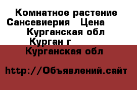 Комнатное растение Сансевиерия › Цена ­ 500 - Курганская обл., Курган г.  »    . Курганская обл.